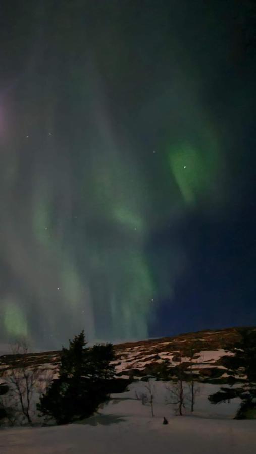 Steinhusith Hotel Holmavik Kültér fotó